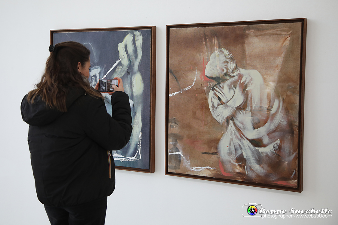 VBS_3326 - Mostra Personale Alessandro Scarabello.jpg